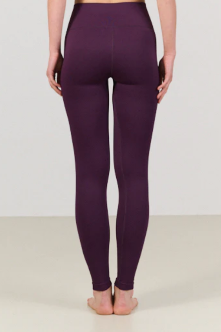 Luna Sculpt Seamless Highwaisted Legging