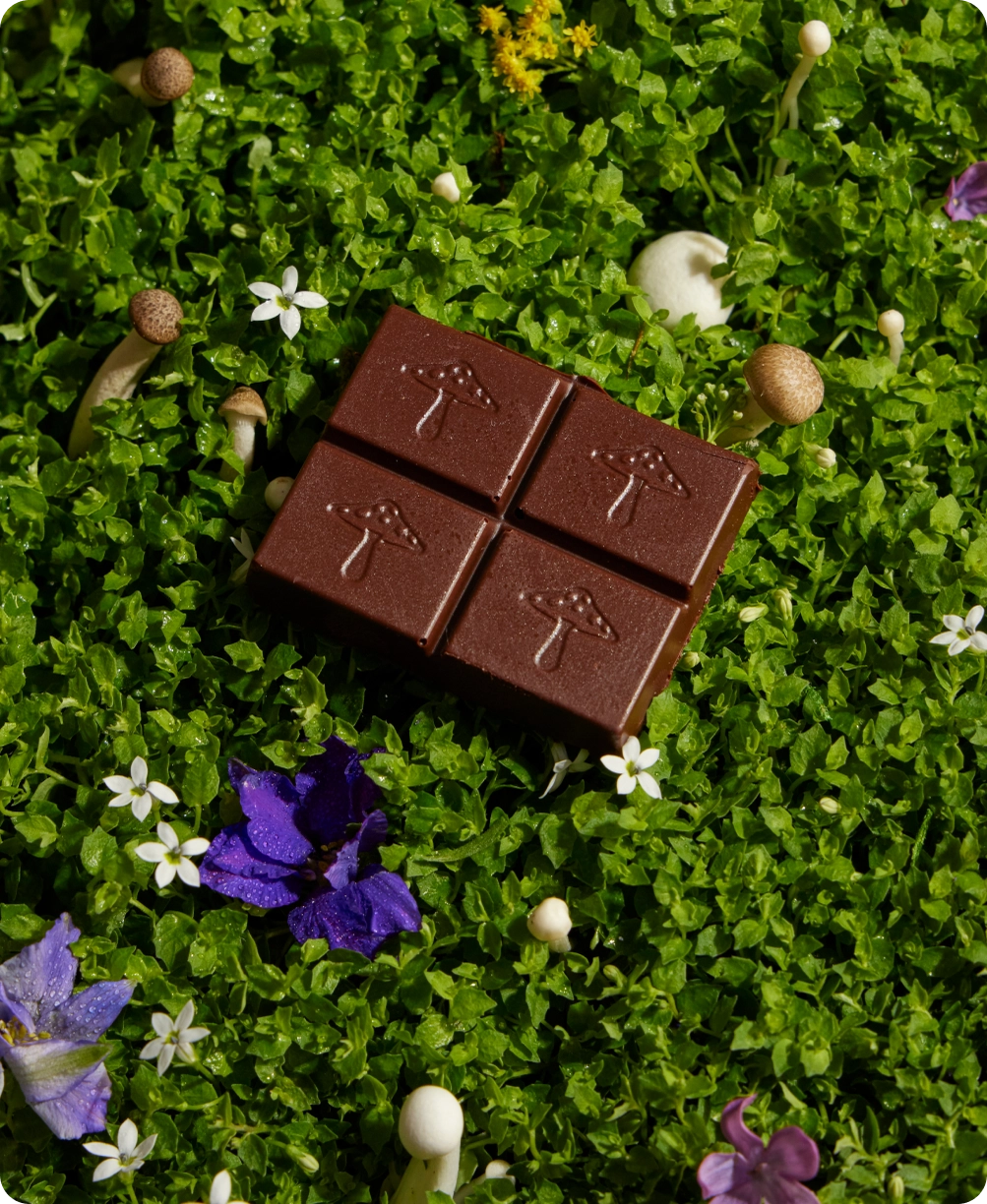 Nightcap - Mushroom Chocolates For Deep Sleep