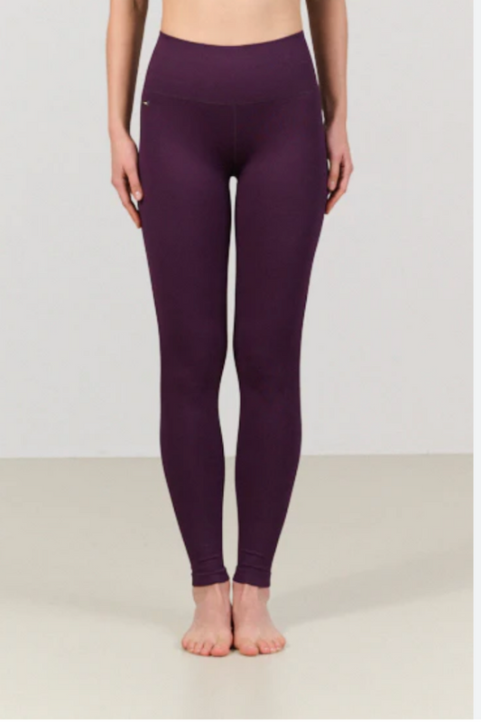 Luna Sculpt Seamless Highwaisted Legging