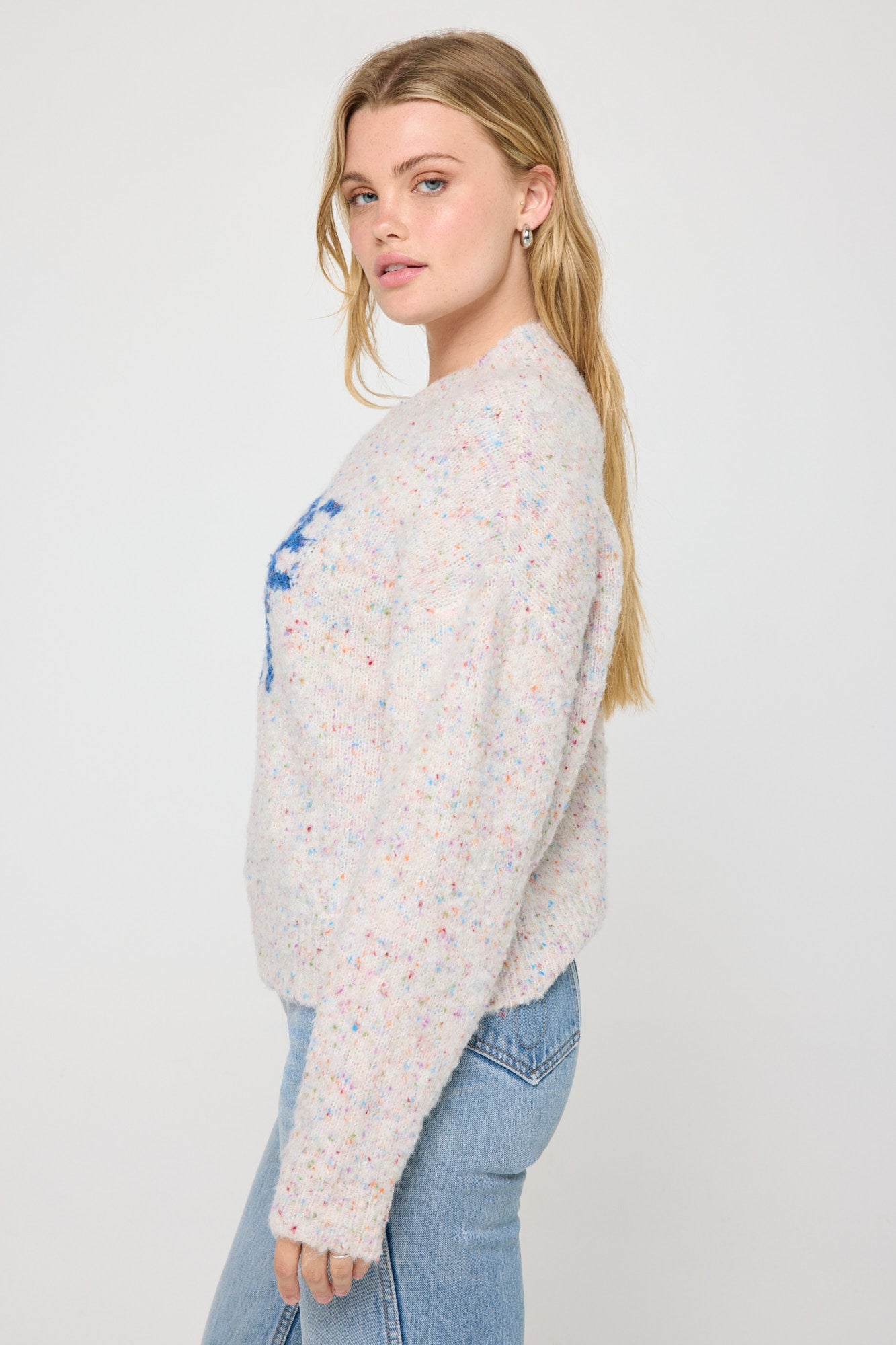 Beatrice Sweater - Birch Confetti