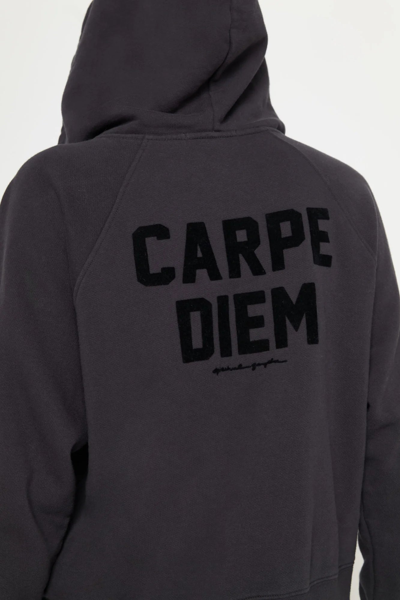 Noir Diem Everyday Zip Hoodie - Vintage Black