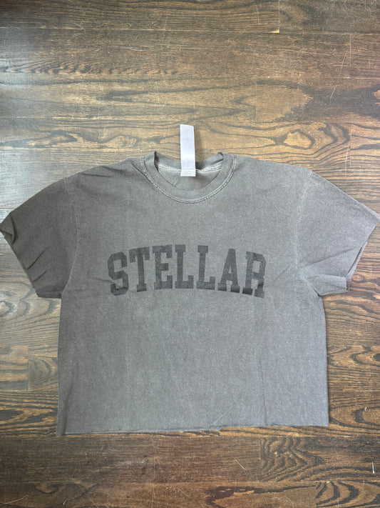 Stellar  Vintage Graphic Crop Top - Pepper