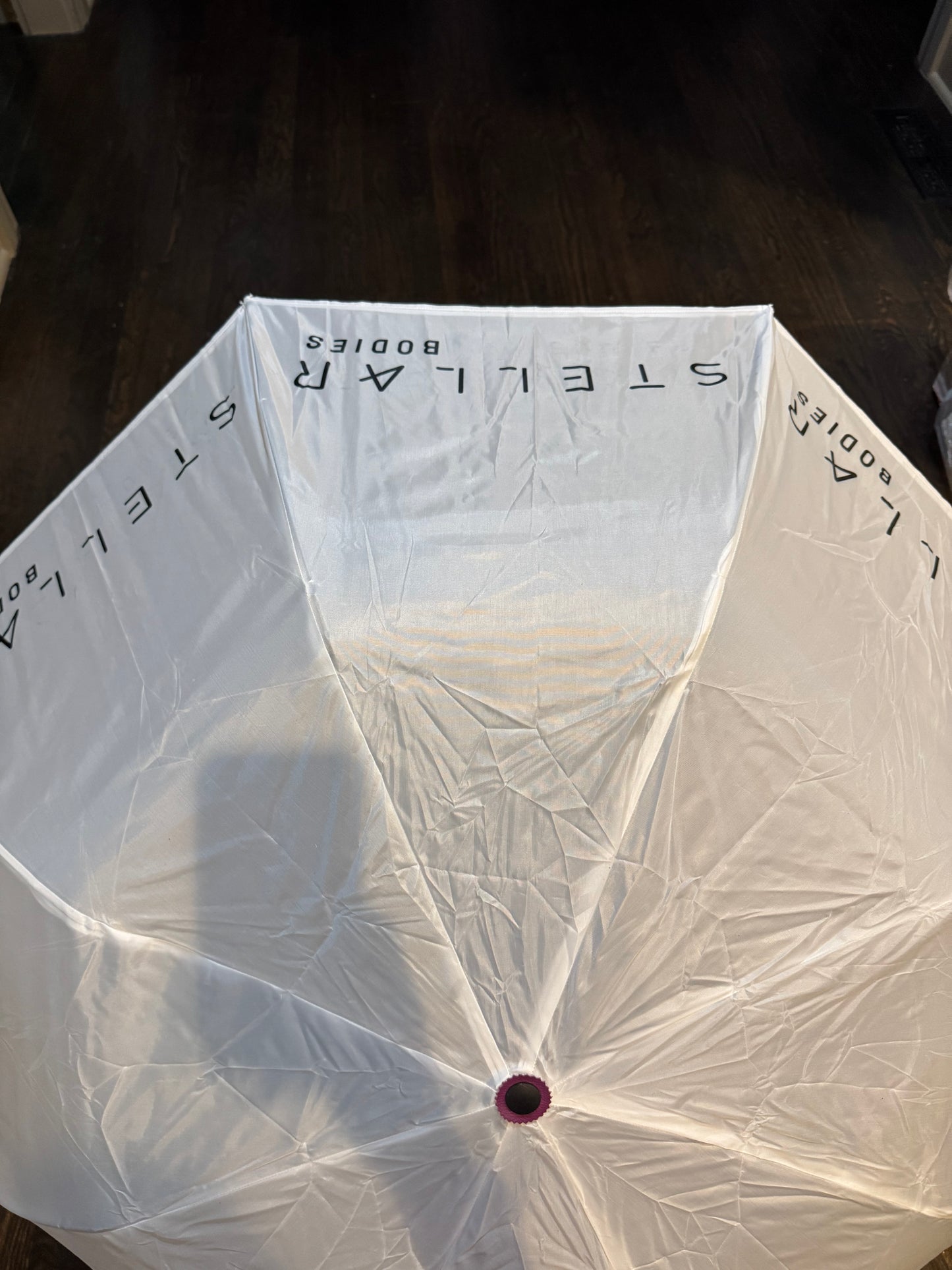 Stellar Bodies Umbrella By Canvas Champ