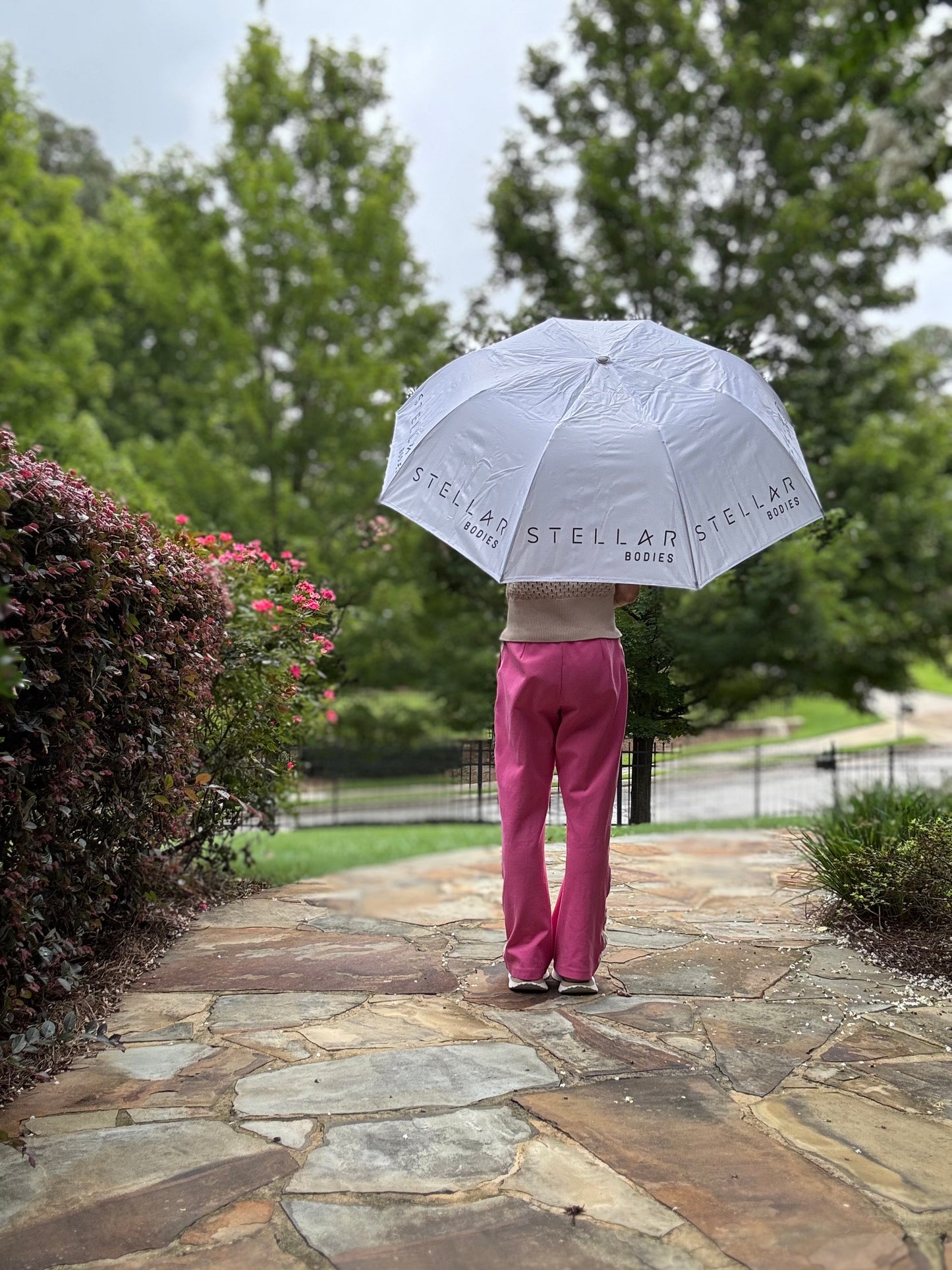 Stellar Bodies Umbrella By Canvas Champ