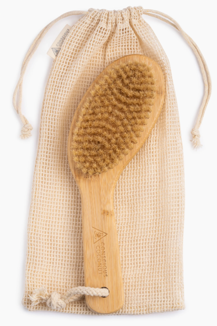 Travel Dry Brush Bundle